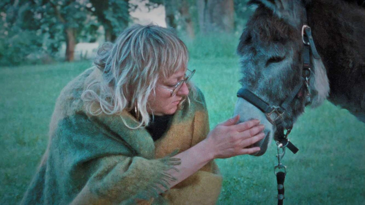 Donkey Days